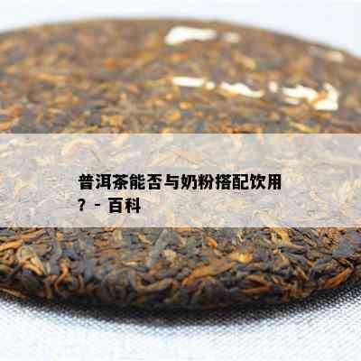 普洱茶能否与奶粉搭配饮用？- 百科