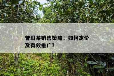 普洱茶销售策略：如何定价及有效推广？