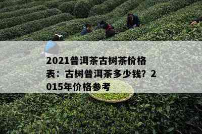 2021普洱茶古树茶价格表：古树普洱茶多少钱？2015年价格参考