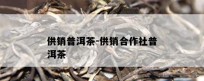 供销普洱茶-供销合作社普洱茶