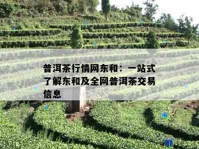 普洱茶行情网东和：一站式熟悉东和及全网普洱茶交易信息