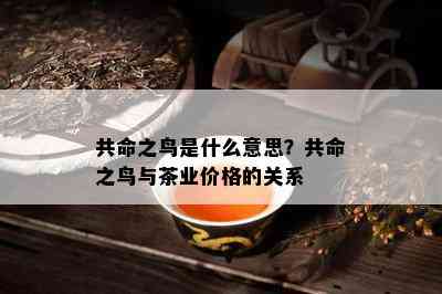 共命之鸟是什么意思？共命之鸟与茶业价格的关系