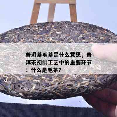 普洱茶毛茶是什么意思，普洱茶初制工艺中的关键环节：什么是毛茶？