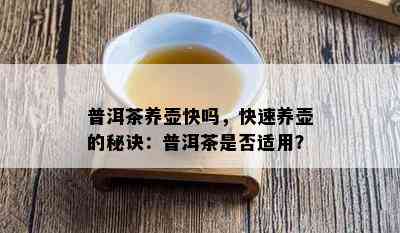 普洱茶养壶快吗，快速养壶的秘诀：普洱茶是否适用？