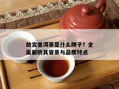 故宫普洱茶是什么牌子？全面解析其背景与品质特点