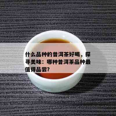 什么品种的普洱茶好喝，探寻美味：哪种普洱茶品种最值得品尝？