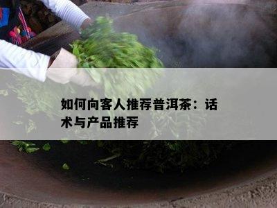 如何向客人推荐普洱茶：话术与产品推荐