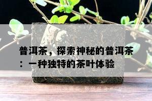 普洱茶，探索神秘的普洱茶：一种特别的茶叶体验