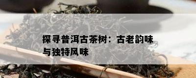 探寻普洱古茶树：古老韵味与特别风味