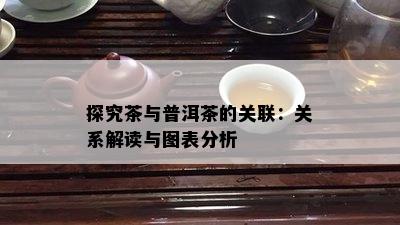 探究茶与普洱茶的关联：关系解读与图表分析