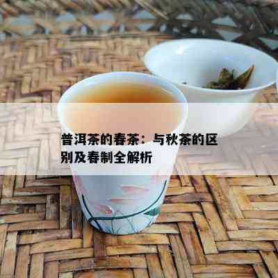 普洱茶的春茶：与秋茶的区别及春制全解析