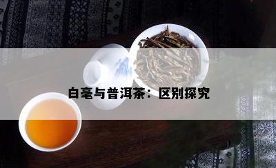 白毫与普洱茶：区别探究