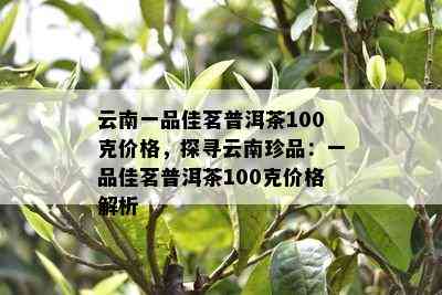 云南一品佳茗普洱茶100克价格，探寻云南珍品：一品佳茗普洱茶100克价格解析