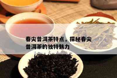 春尖普洱茶特点，探秘春尖普洱茶的特别魅力