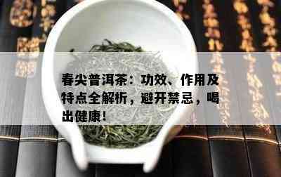 春尖普洱茶：功效、作用及特点全解析，避开禁忌，喝出健康！