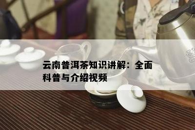 云南普洱茶知识讲解：全面科普与介绍视频