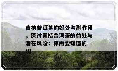 青桔普洱茶的好处与副作用，探讨青桔普洱茶的益处与潜在风险：你需要知道的一切