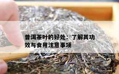 普洱茶叶的好处：了解其功效与食用注意事项