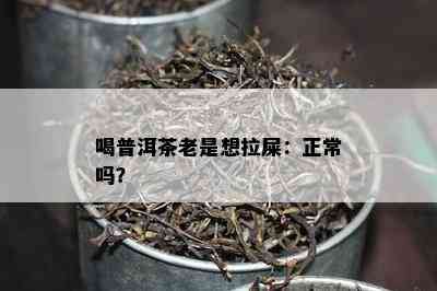 喝普洱茶老是想拉屎：正常吗？