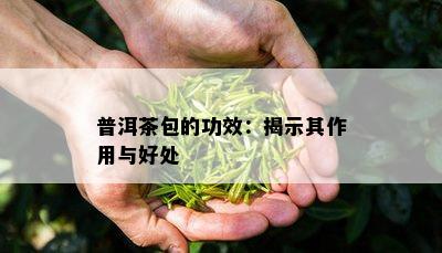 普洱茶包的功效：揭示其作用与好处