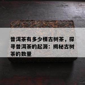 普洱茶有多少棵古树茶，探寻普洱茶的起源：揭秘古树茶的数量