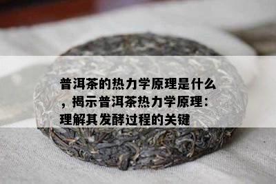 普洱茶的热力学原理是什么，揭示普洱茶热力学原理：理解其发酵过程的关键