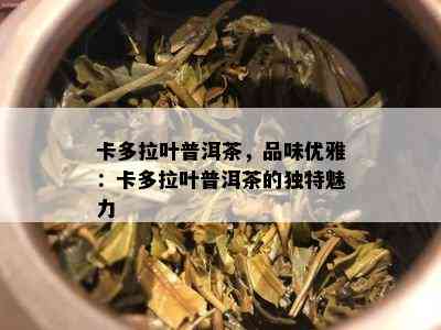 卡多拉叶普洱茶，品味优雅：卡多拉叶普洱茶的特别魅力