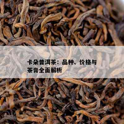 卡朵普洱茶：品种、价格与茶膏全面解析