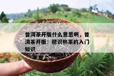 普洱茶开版什么意思啊，普洱茶开版：初识熟茶的入门知识