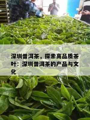 深圳普洱茶，探索高品质茶叶：深圳普洱茶的产品与文化