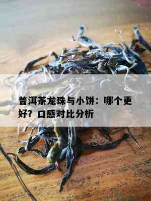 普洱茶龙珠与小饼：哪个更好？口感对比分析