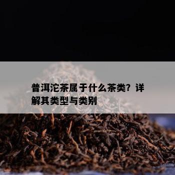 普洱沱茶属于什么茶类？详解其类型与类别