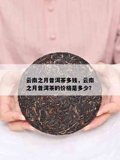 云南之月普洱茶多钱，云南之月普洱茶的价格是多少？