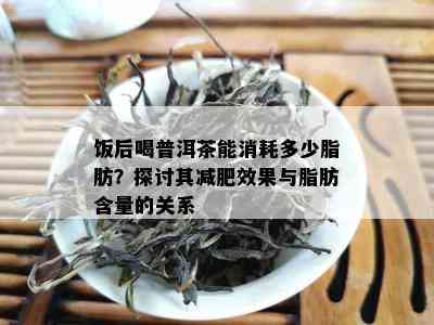 饭后喝普洱茶能消耗多少脂肪？探讨其减肥效果与脂肪含量的关系