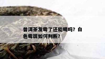 普洱茶发霉了还能喝吗？白色霉斑怎样判断？