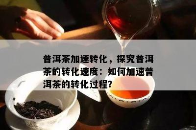 普洱茶加速转化，探究普洱茶的转化速度：如何加速普洱茶的转化过程？