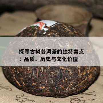 探寻古树普洱茶的特别卖点：品质、历史与文化价值