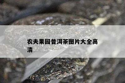 农夫果园普洱茶图片大全高清