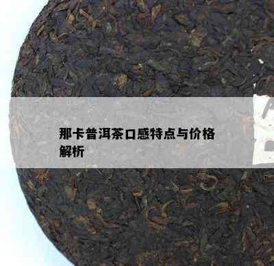 那卡普洱茶口感特点与价格解析