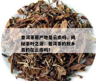 普洱茶原产地是云南吗，揭秘茶叶之源：普洱茶的故乡真的在云南吗？