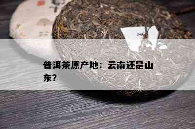 普洱茶原产地：云南还是山东？