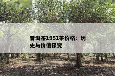 普洱茶1951茶价格：历史与价值探究