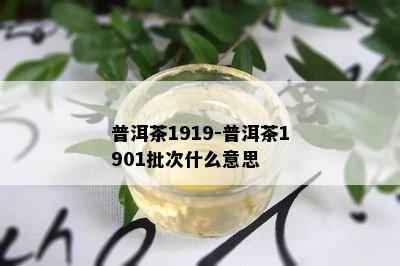 普洱茶1919-普洱茶1901批次什么意思