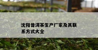 沈阳普洱茶生产厂家及其联系方法大全