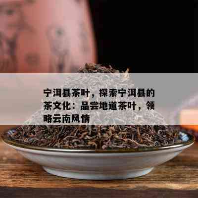 宁洱县茶叶，探索宁洱县的茶文化：品尝地道茶叶，领略云南风情