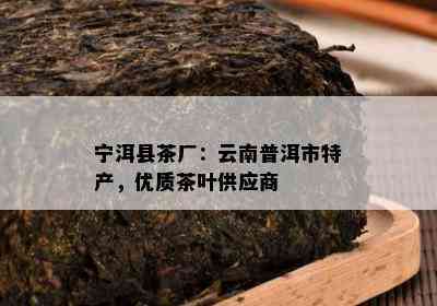 宁洱县茶厂：云南普洱市特产，优质茶叶供应商