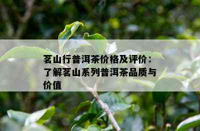 茗山行普洱茶价格及评价：了解茗山系列普洱茶品质与价值