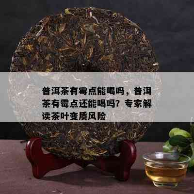 普洱茶有霉点能喝吗，普洱茶有霉点还能喝吗？专家解读茶叶变质风险