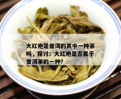 大红袍是普洱的其中一种茶吗，探讨：大红袍是否属于普洱茶的一种？