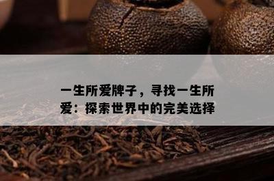 一生所爱牌子，寻找一生所爱：探索世界中的完美选择